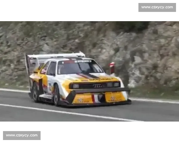 车迷热议：赛车引擎的轰鸣声，是情怀还是噪音